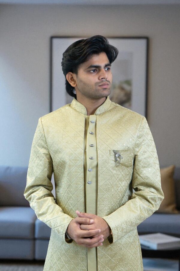 Light Green Indo Western Shrug Style Outfit for Men - Image 2